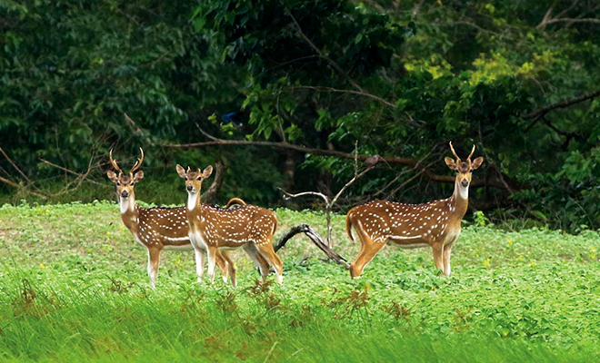 Khulna → ShyamNagar